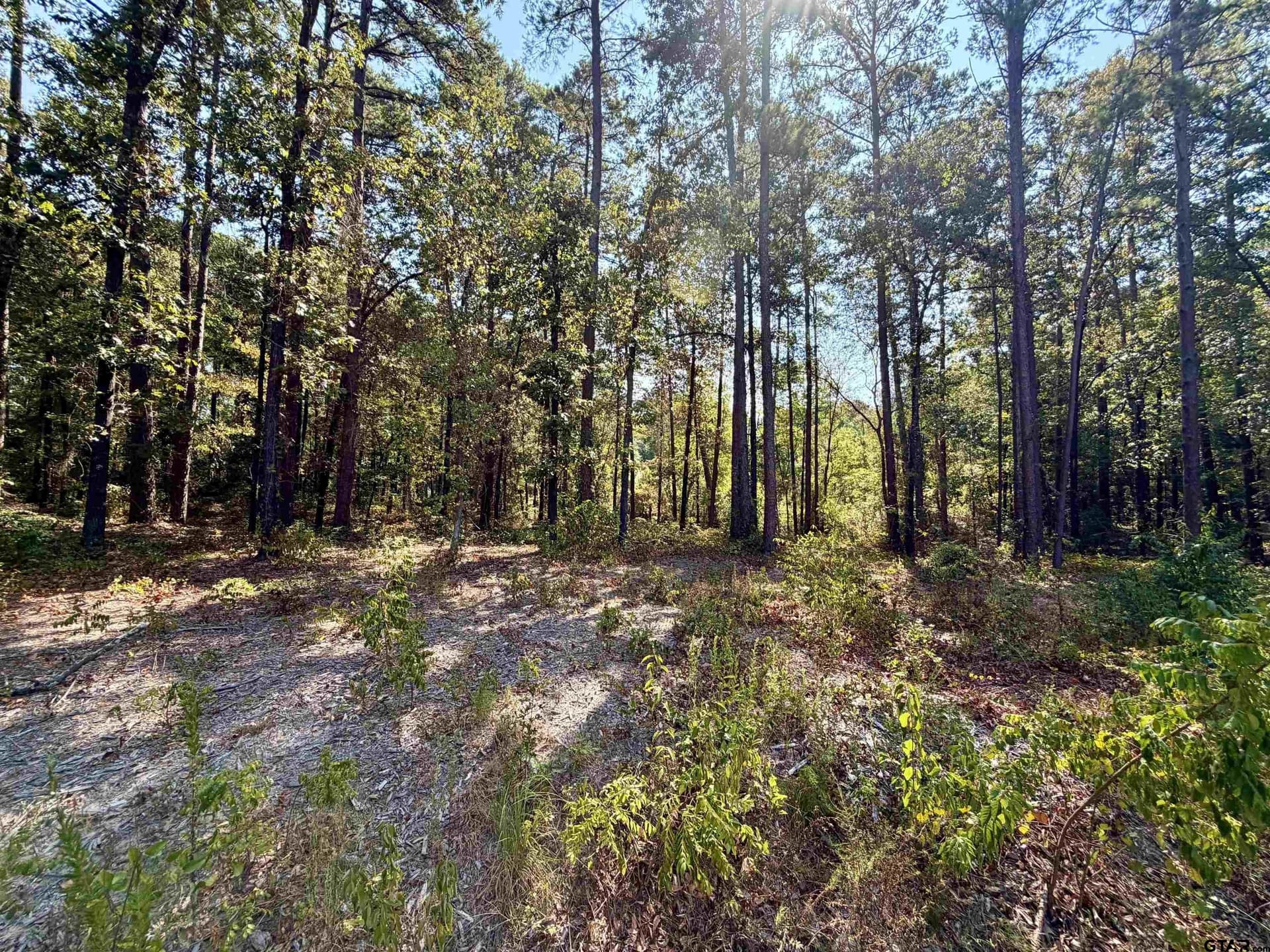 1 acres in Smith County - photo 7