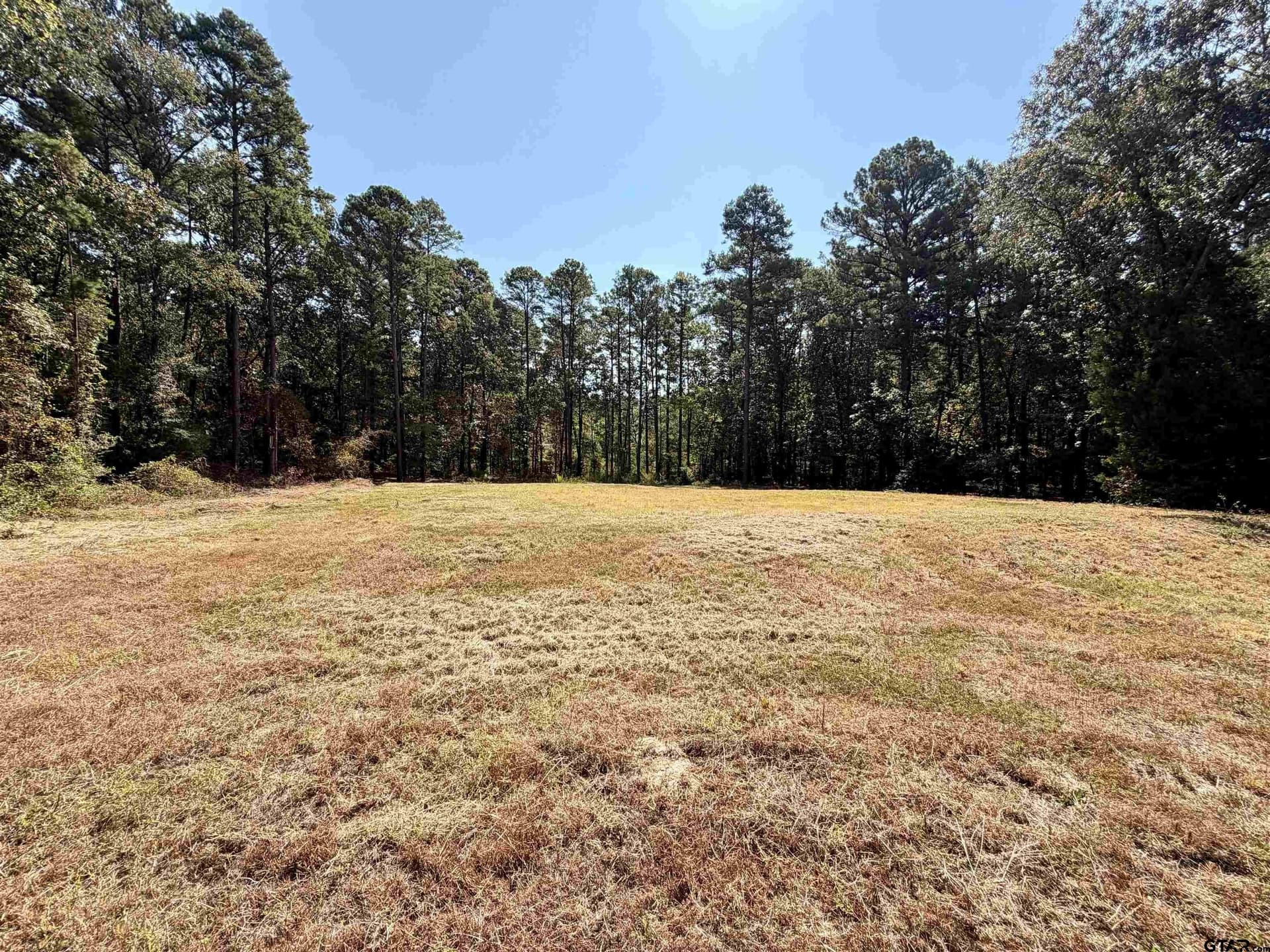 1 acres in Smith County - photo 5