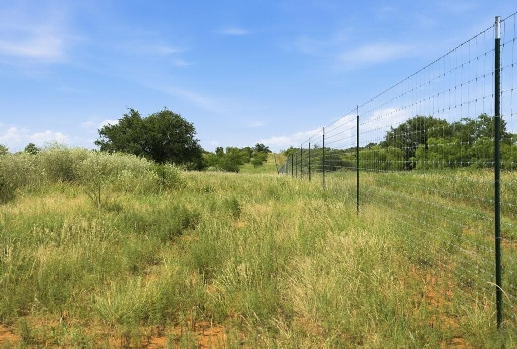 272 acres in Llano County - photo 18
