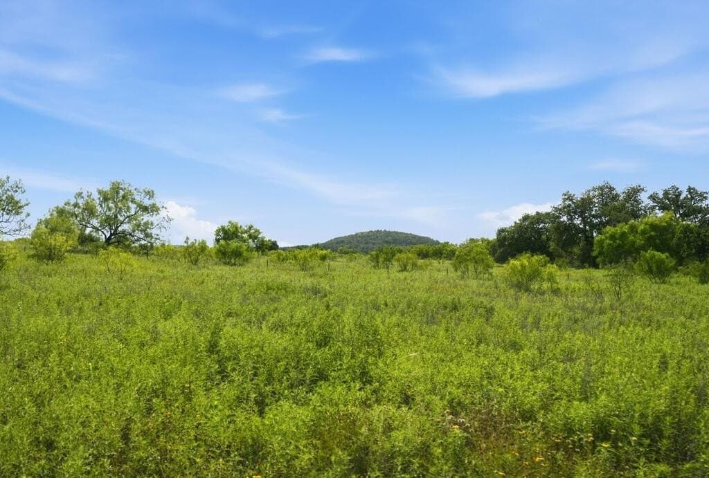 272 acres in Llano County - photo 34