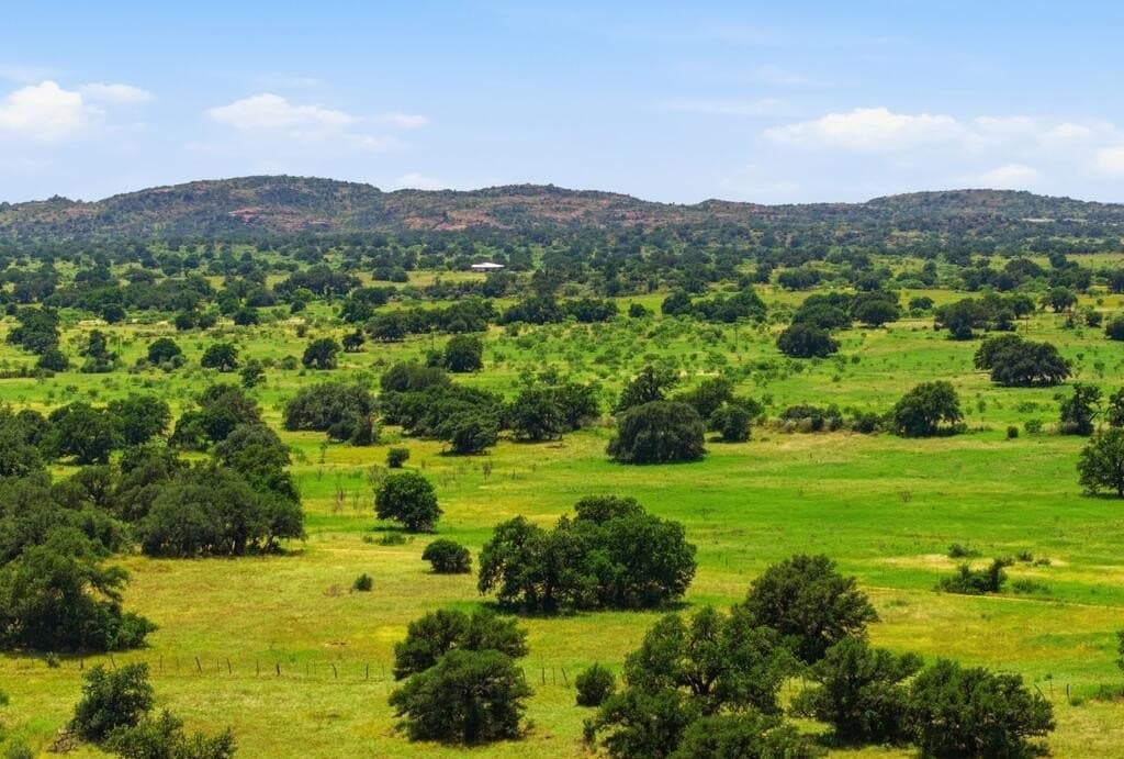 272 acres in Llano County - photo 17