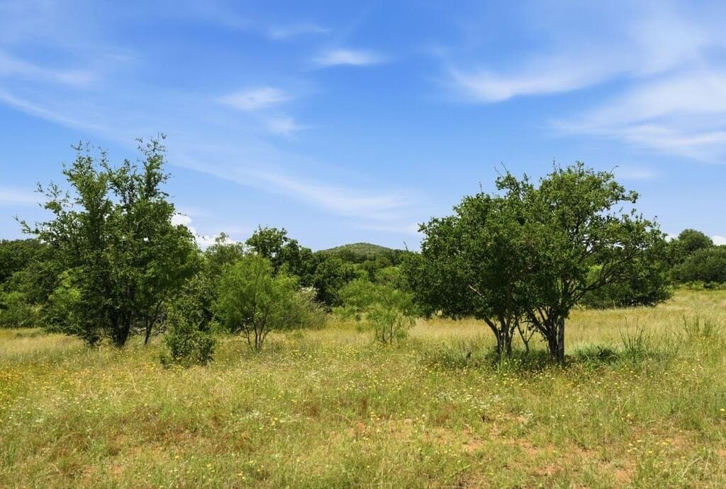 272 acres in Llano County - photo 14