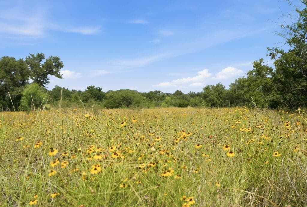 272 acres in Llano County - photo 11