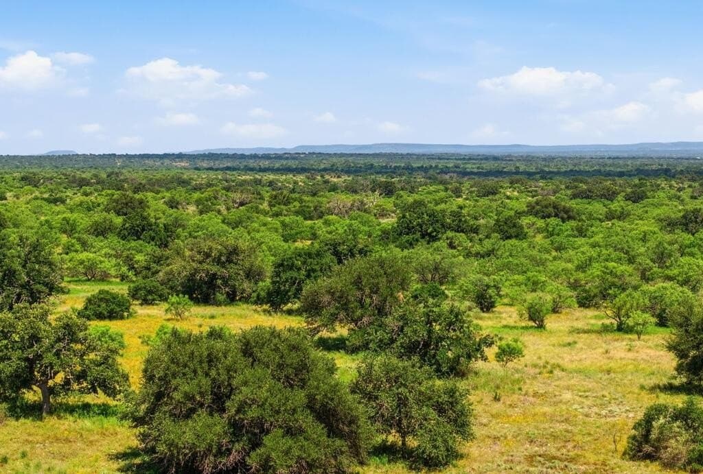 272 acres in Llano County - photo 20
