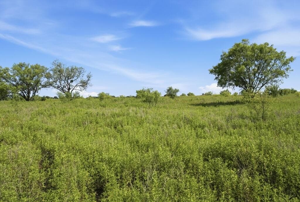 272 acres in Llano County - photo 12