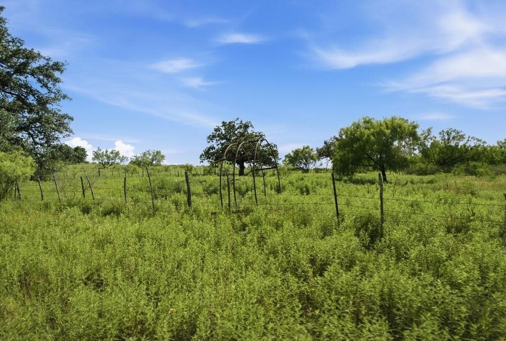 272 acres in Llano County - photo 22