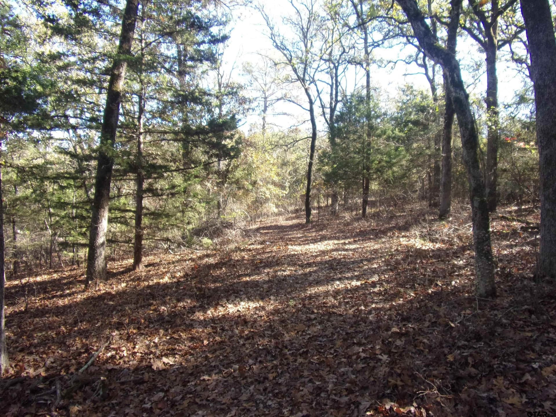 0.64 acres in Van Zandt County - photo 15