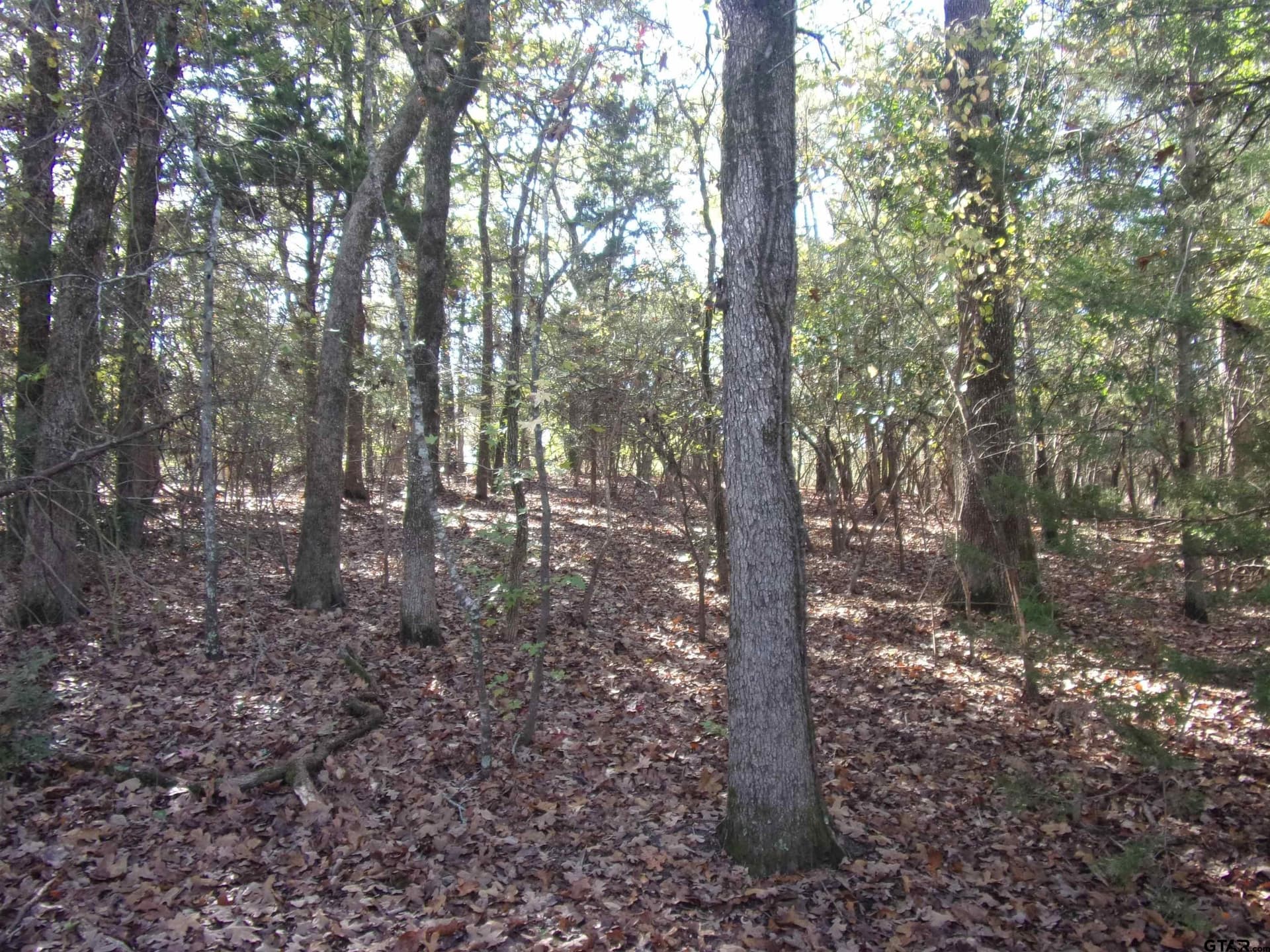 0.64 acres in Van Zandt County - photo 8