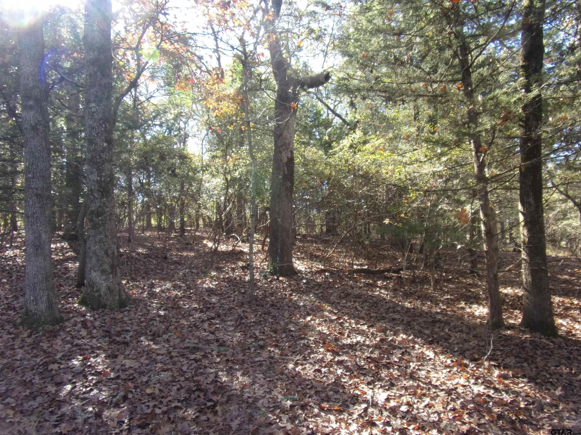 0.64 acres in Van Zandt County - photo 6