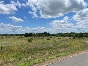 1.2 acres in Navarro County gallery image 3