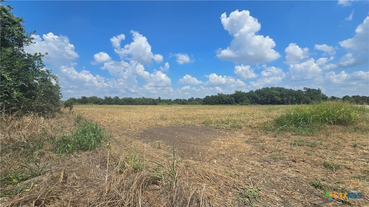 56.24 acres in Bell County - photo 7