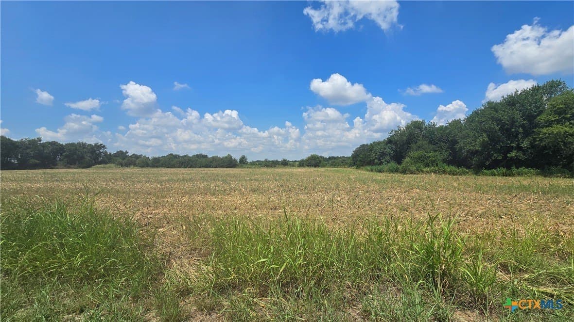 56.24 acres in Bell County - photo 6