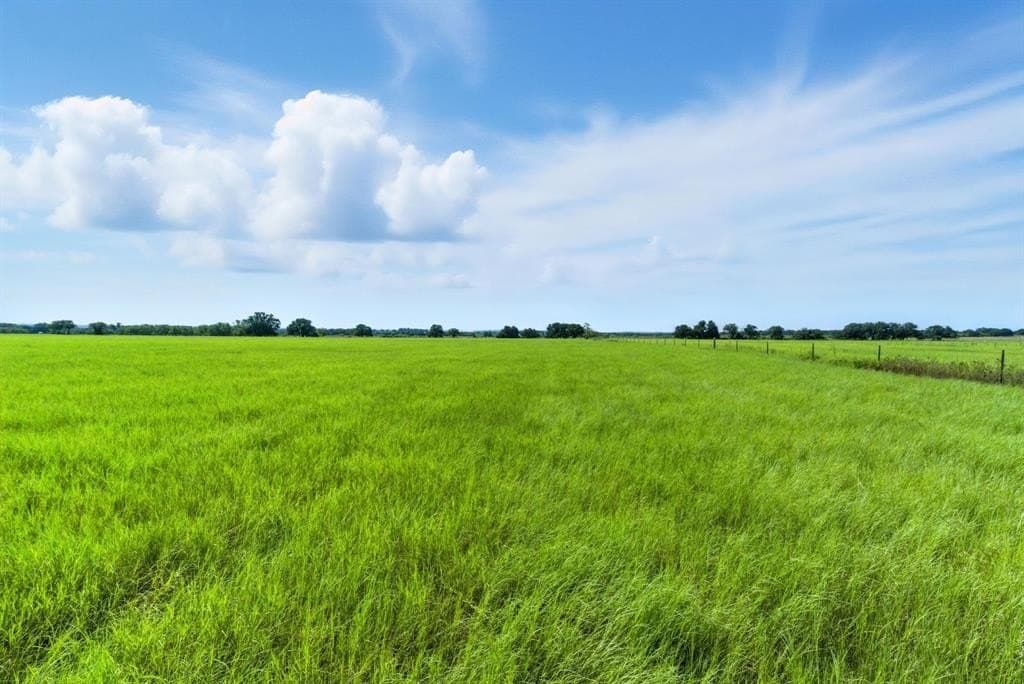 20 acres in Palo Pinto County gallery image 4