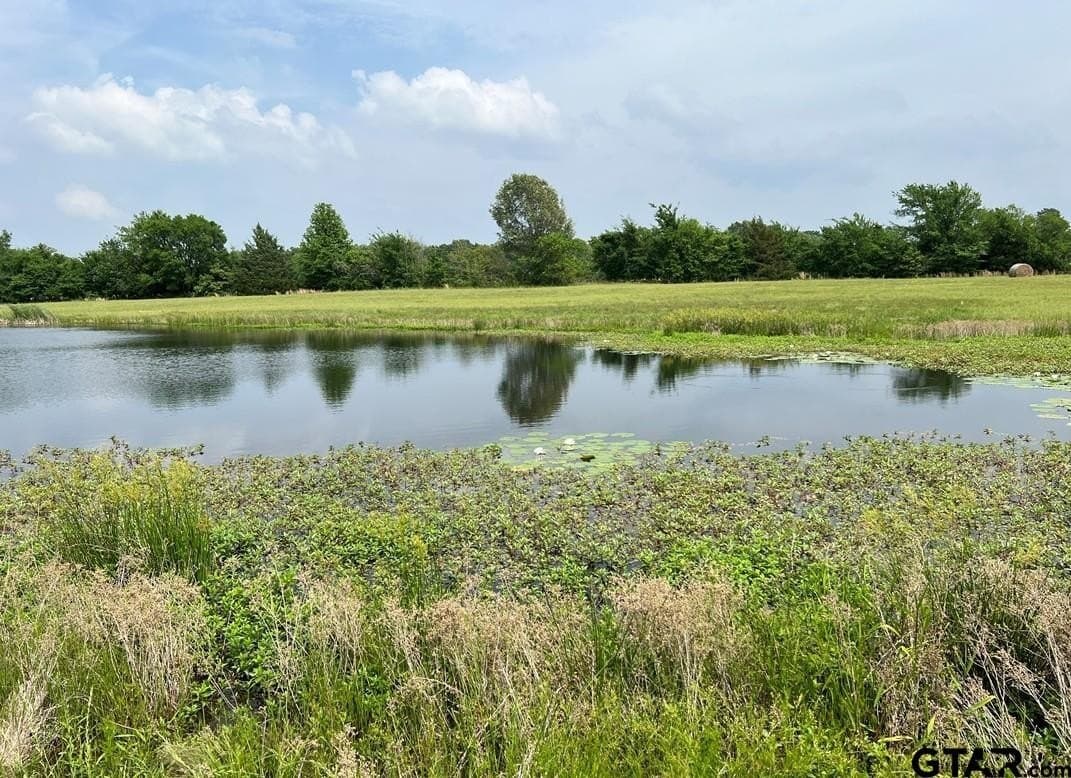 5.84 acres in Wood County gallery image 2