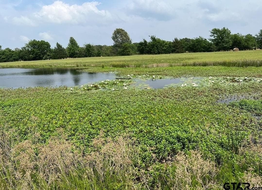 5.84 acres in Wood County gallery image 3