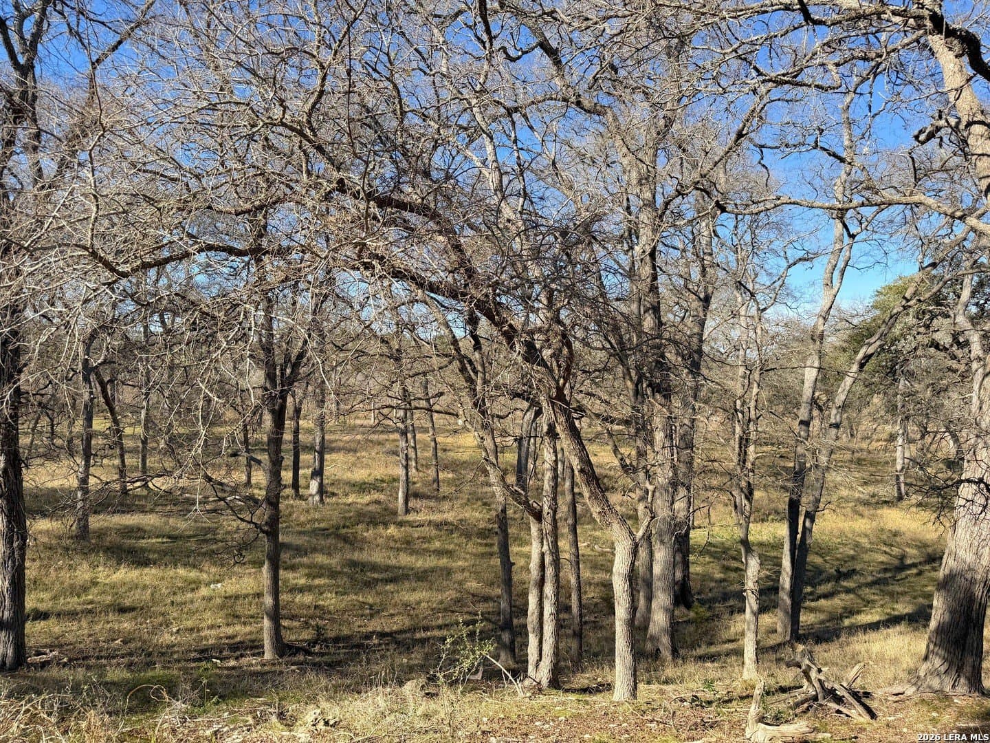 1.19 acres in Comal County - photo 20
