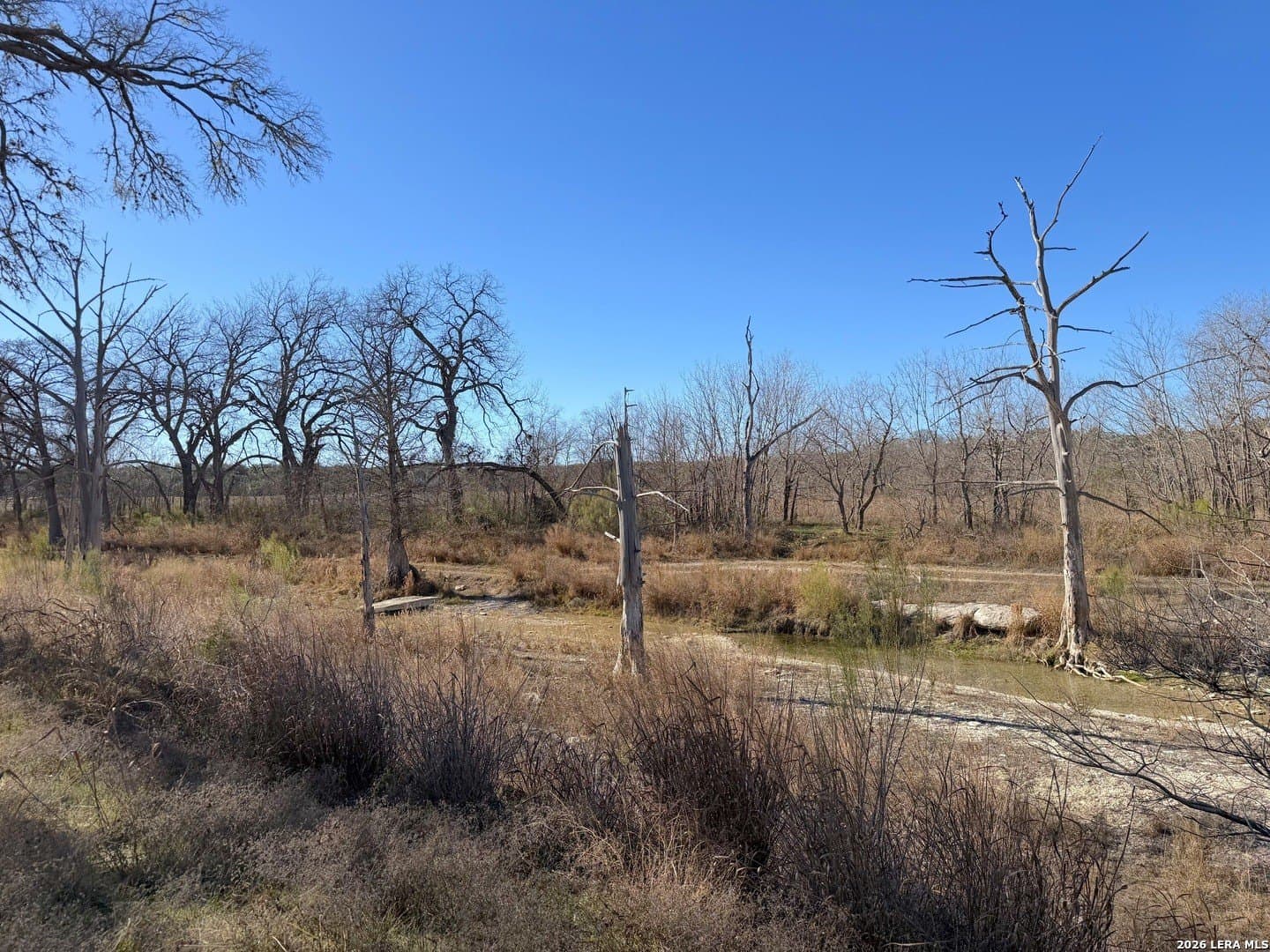 1.19 acres in Comal County gallery image 4