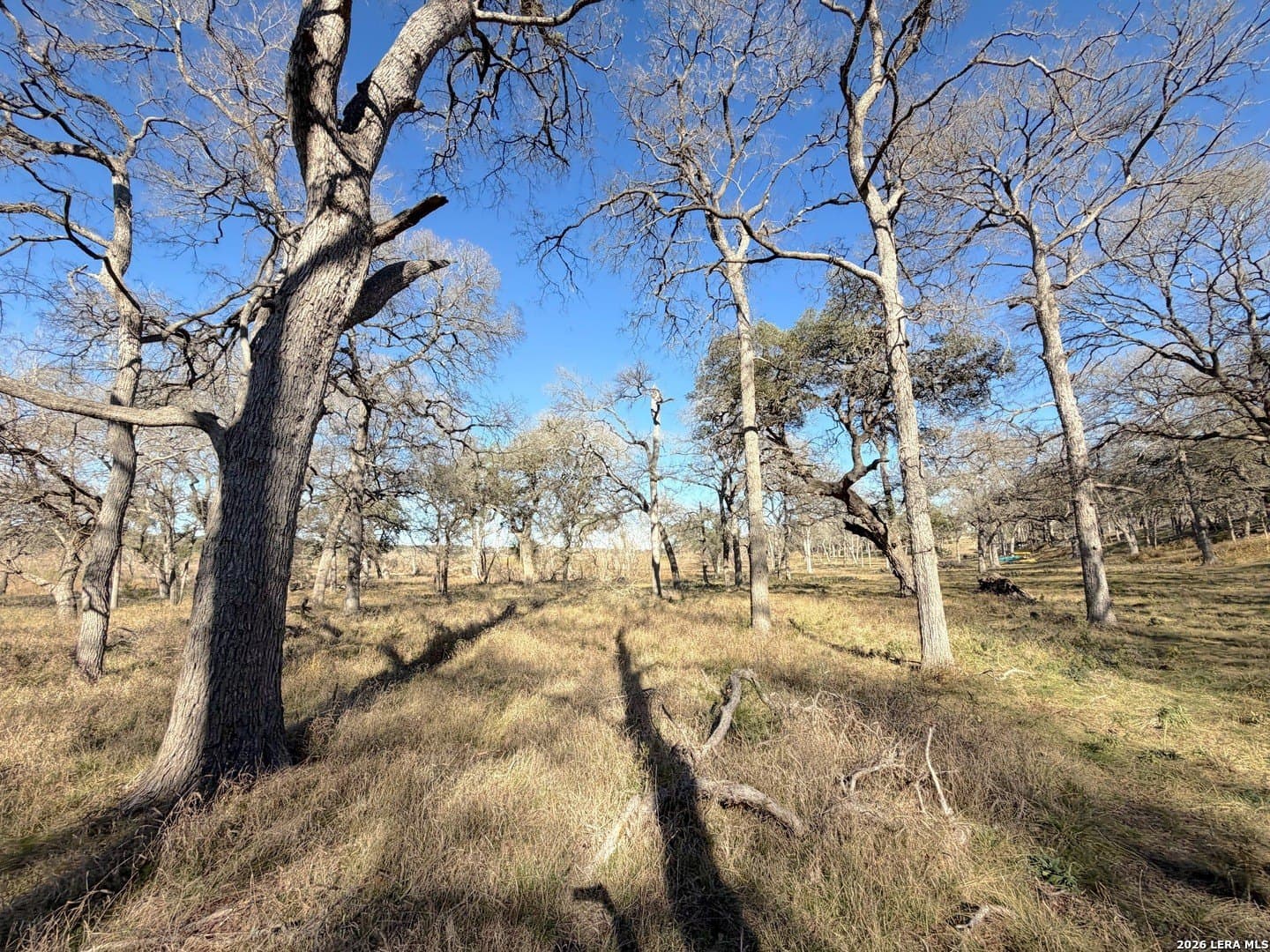 1.19 acres in Comal County - photo 11