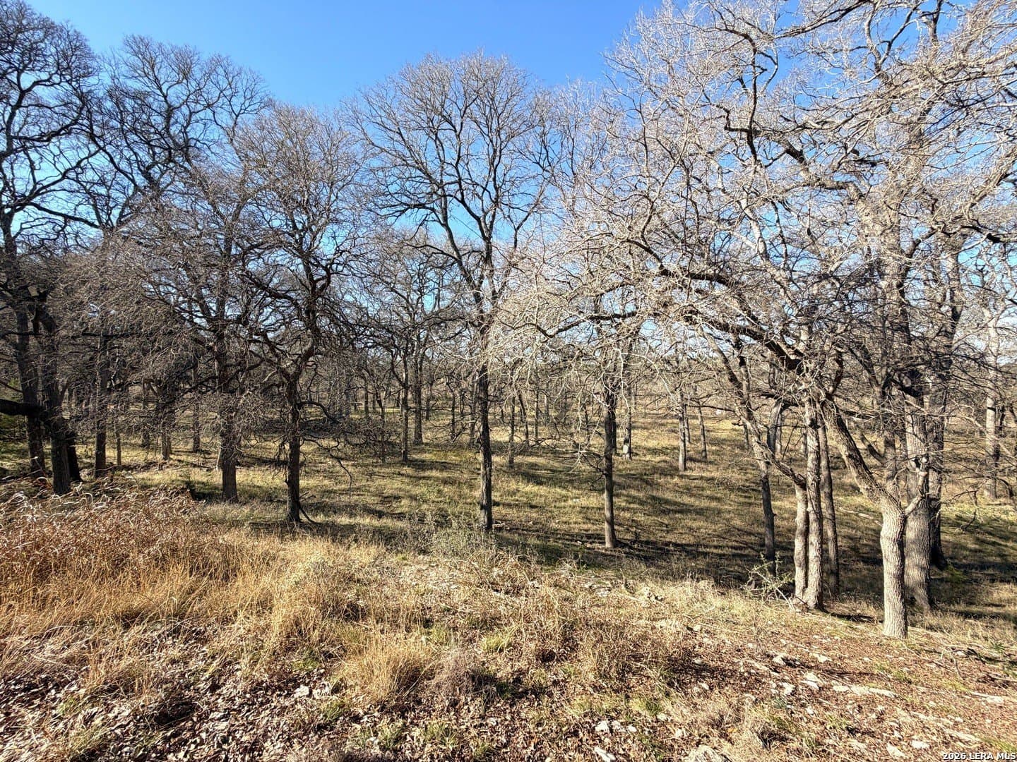 1.19 acres in Comal County - photo 17