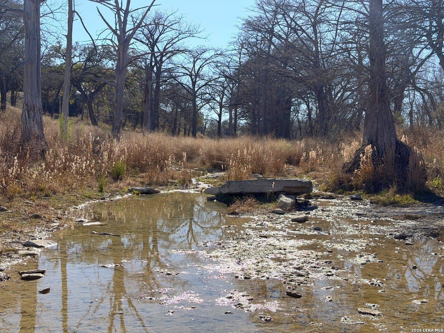 1.19 acres in Comal County - photo 14