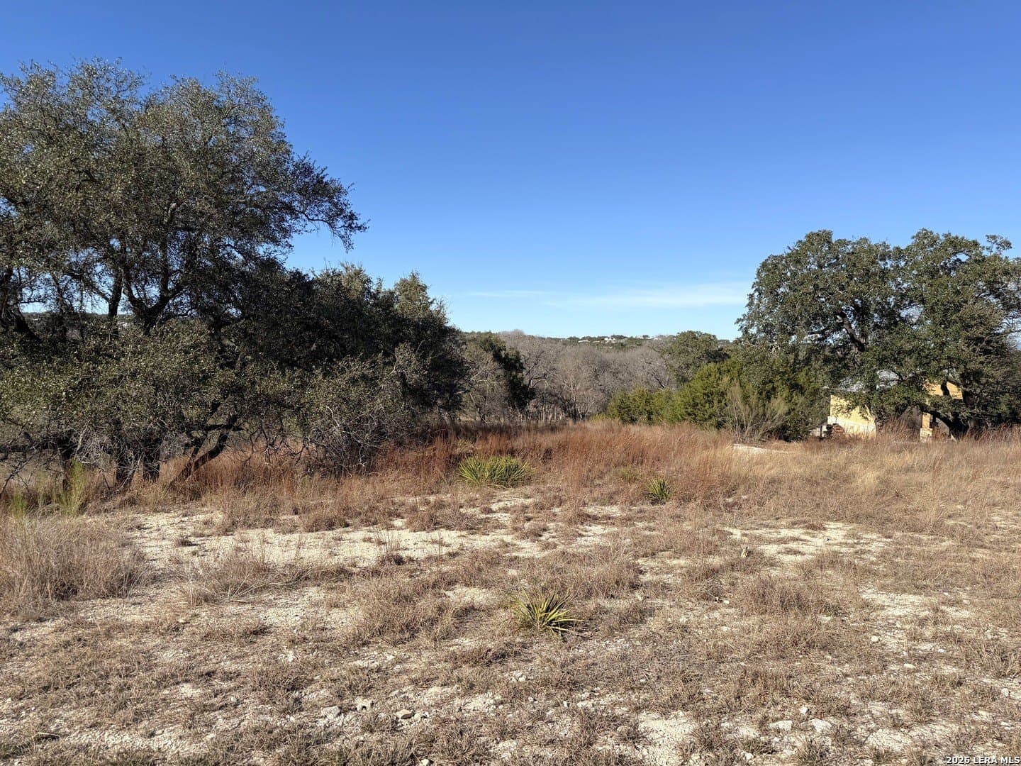 1.19 acres in Comal County gallery image 3