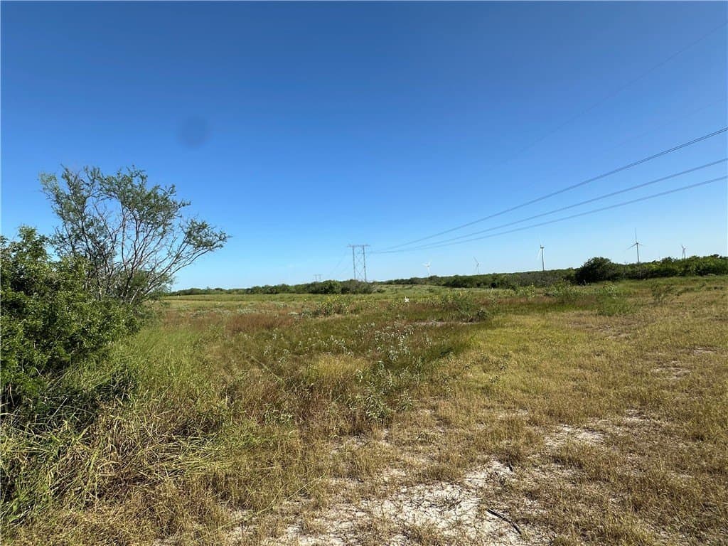230.6 acres in San Patricio County - photo 12