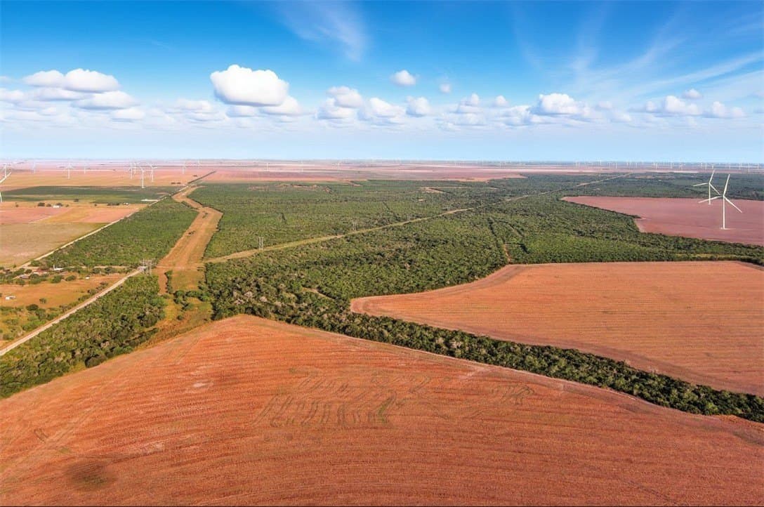 230.6 acres in San Patricio County - photo 3