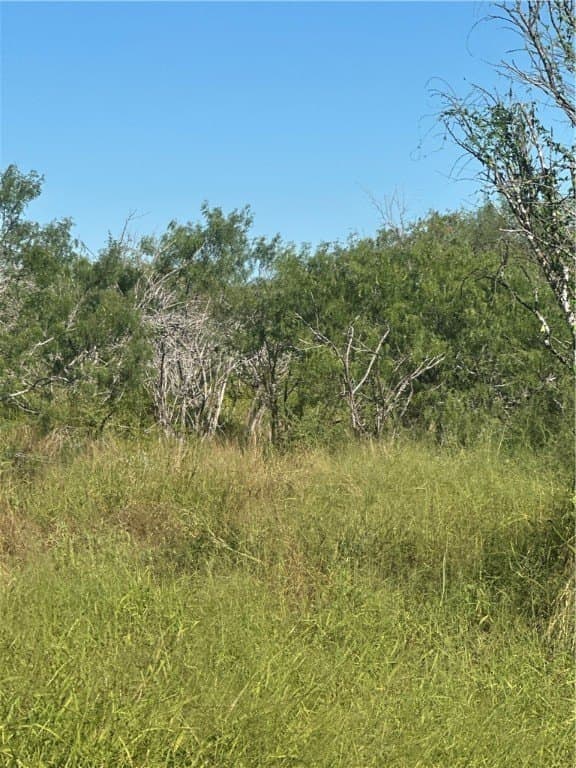 230.6 acres in San Patricio County - photo 11