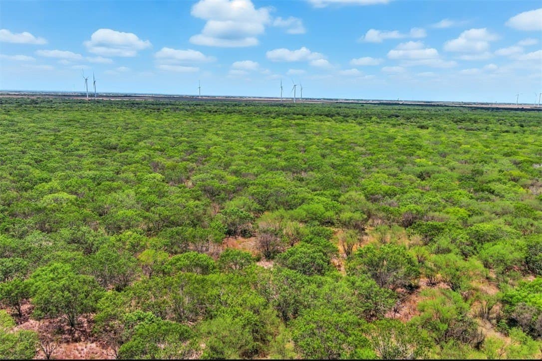 230.6 acres in San Patricio County