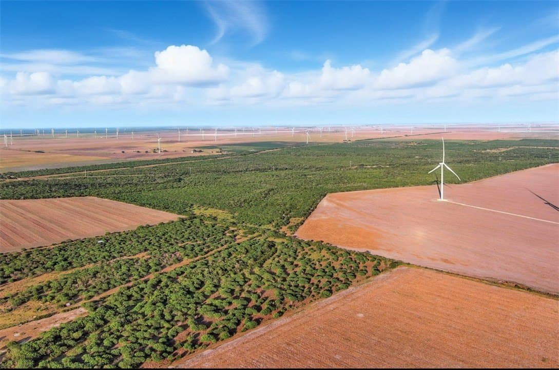 230.6 acres in San Patricio County - photo 6