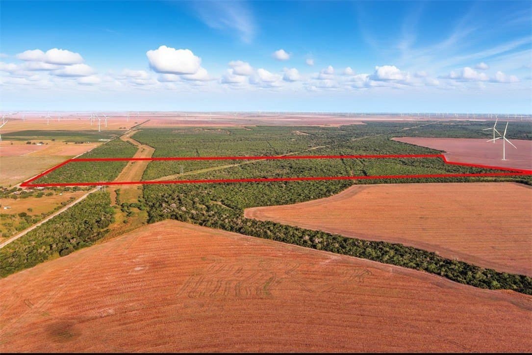 230.6 acres in San Patricio County - photo 7