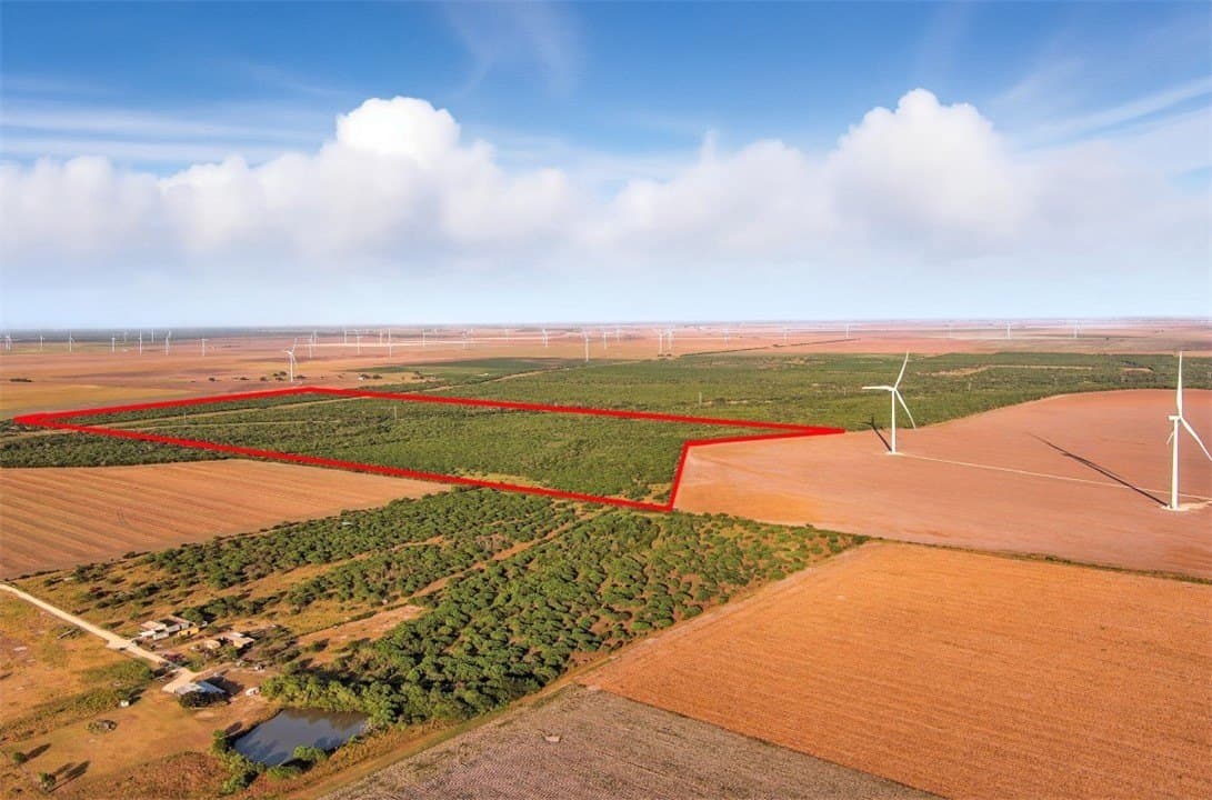 230.6 acres in San Patricio County - photo 9
