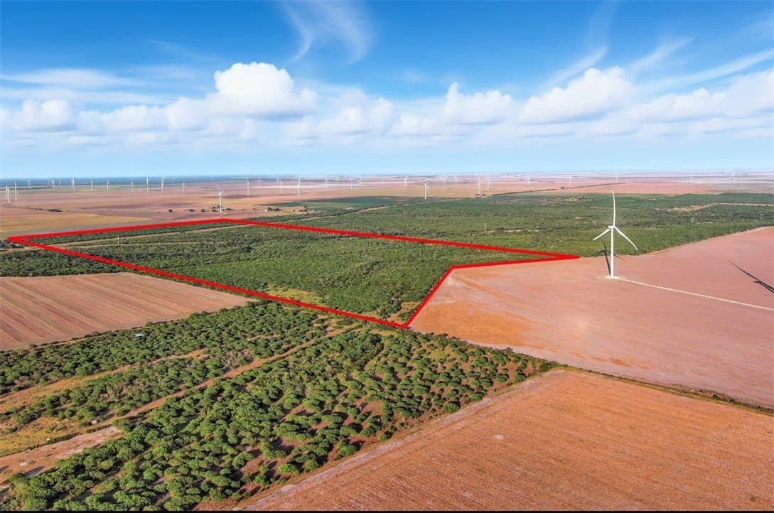 230.6 acres in San Patricio County - photo 2