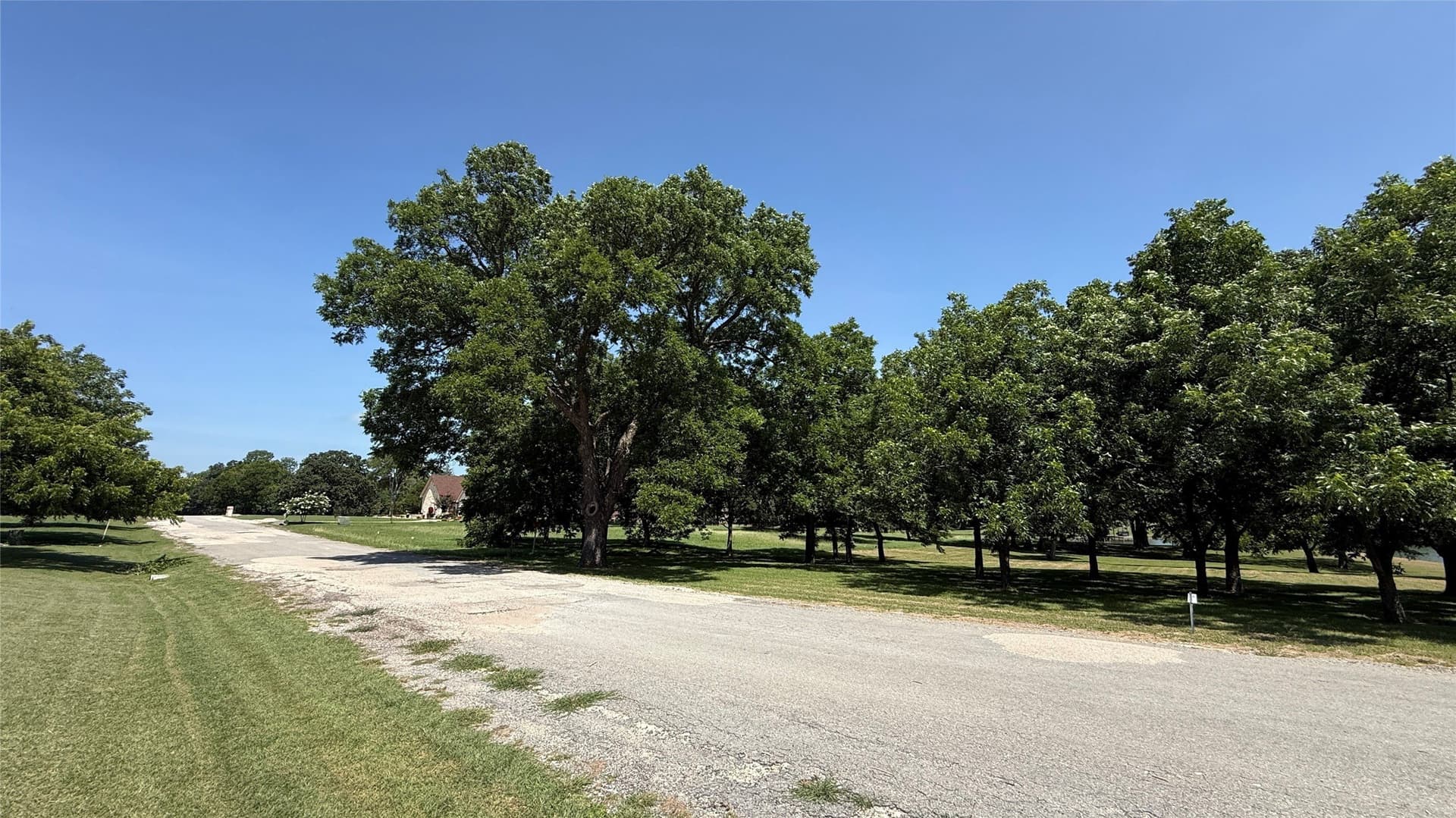 1.38 acres in Navarro County gallery image 3