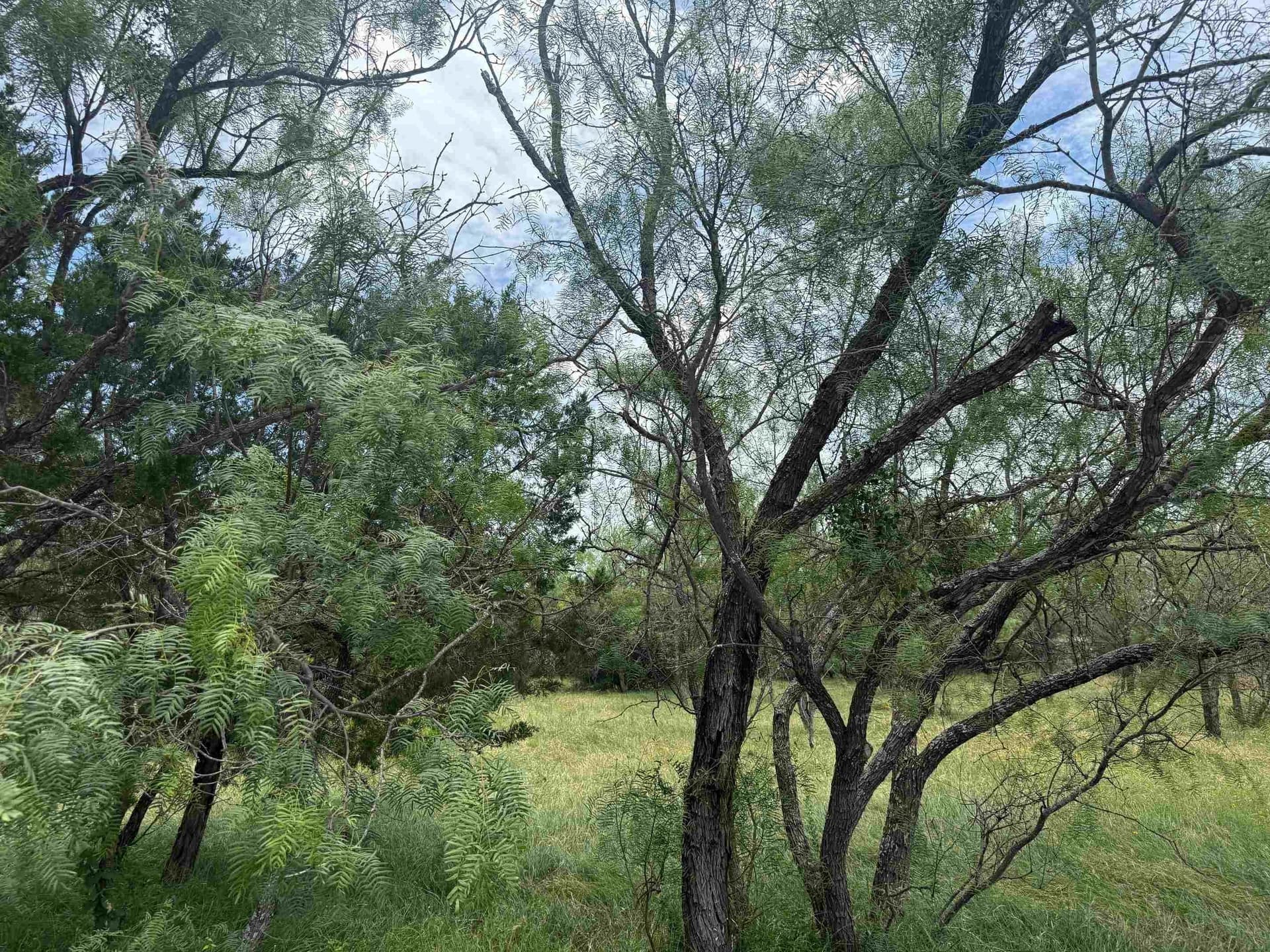 0.11 acres in Llano County gallery image 2