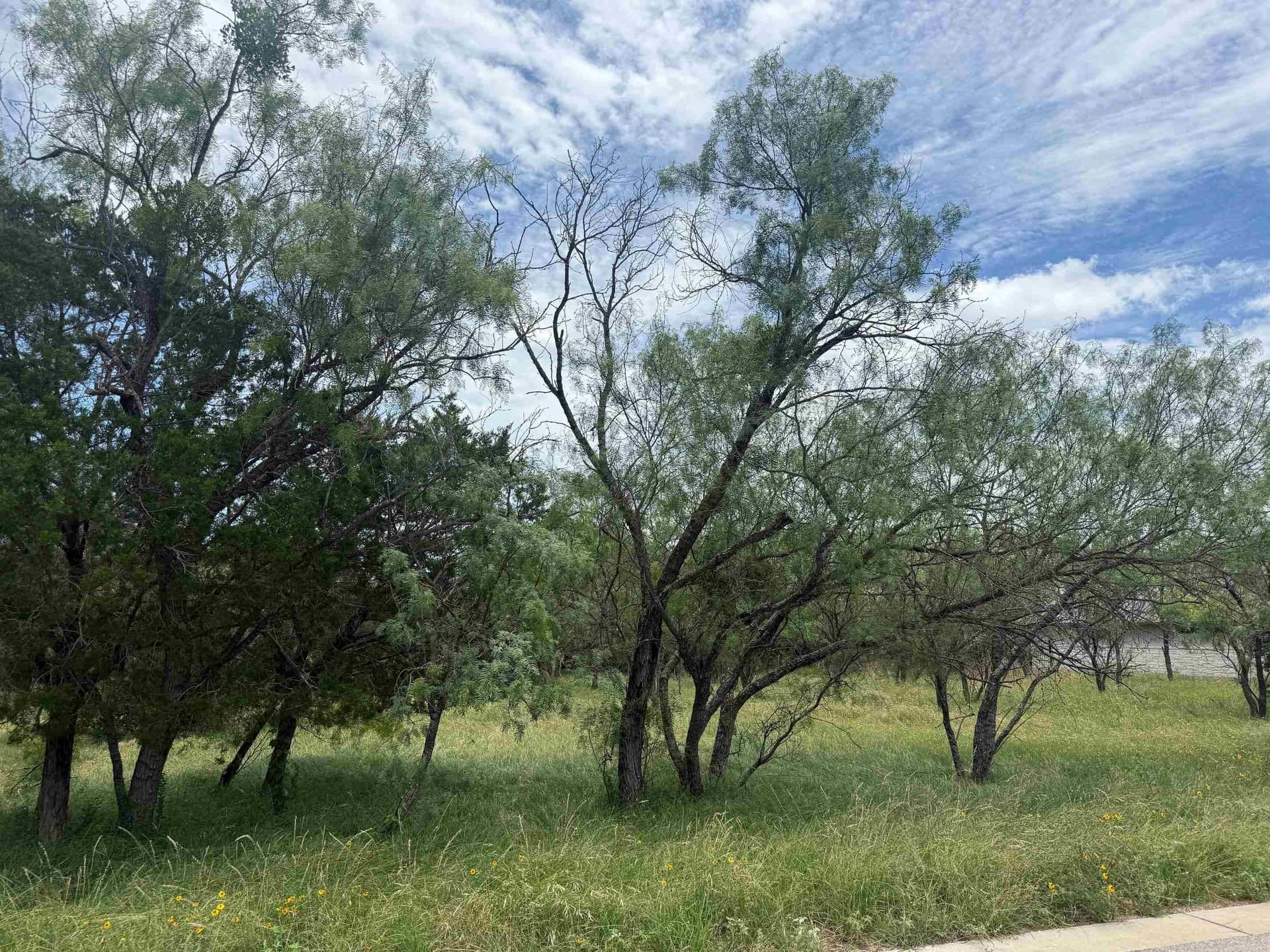 0.11 acres in Llano County gallery image 3
