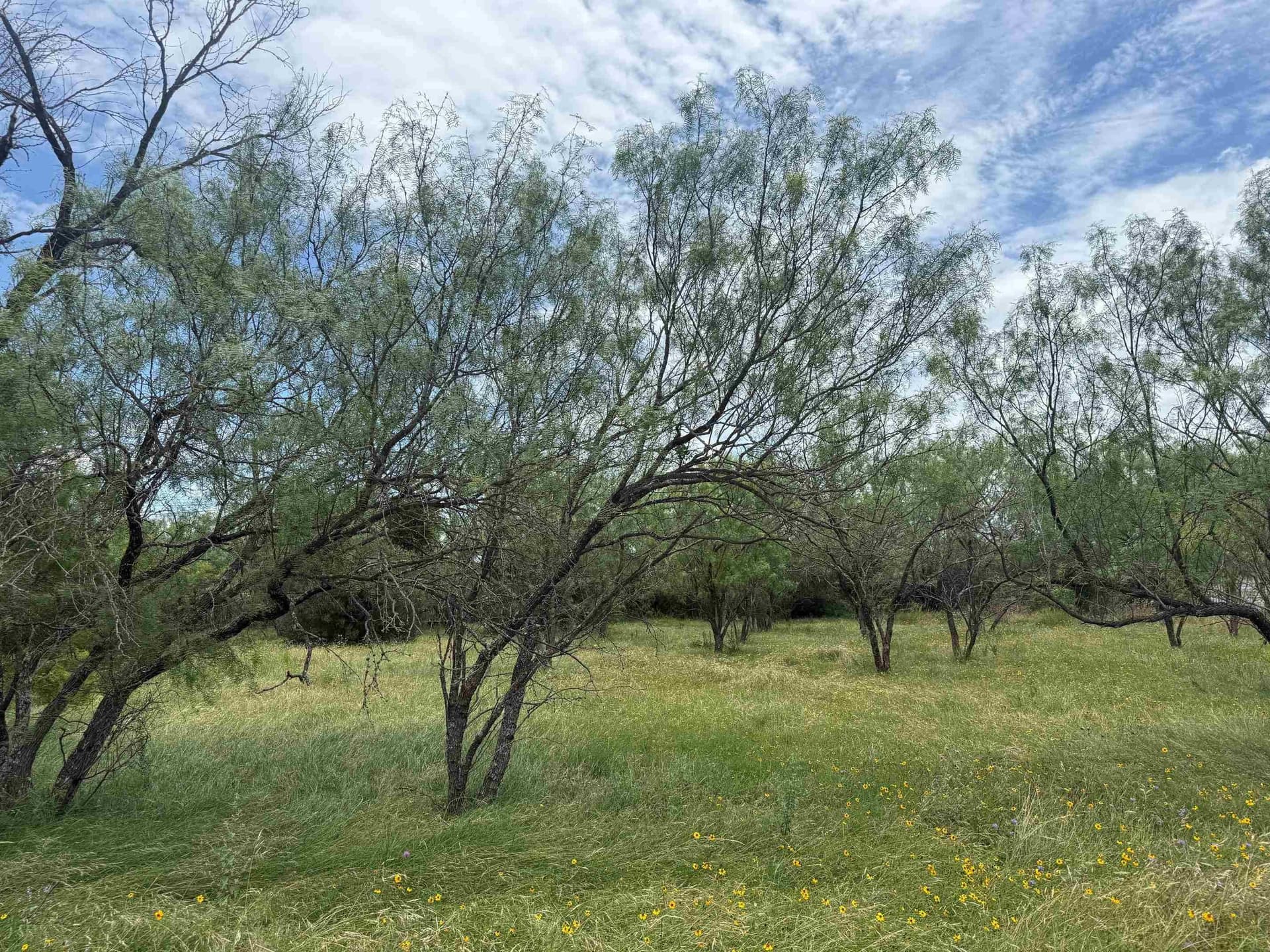 0.11 acres in Llano County