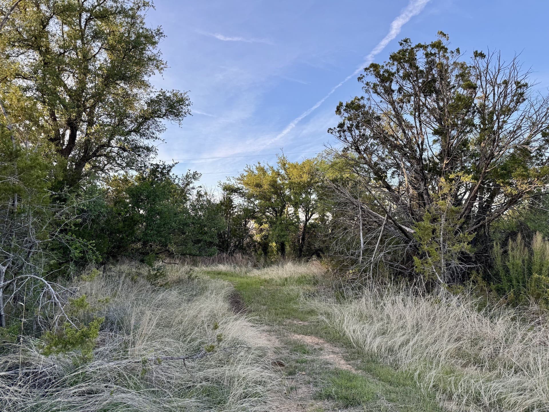 40.04 acres in Erath County - photo 22