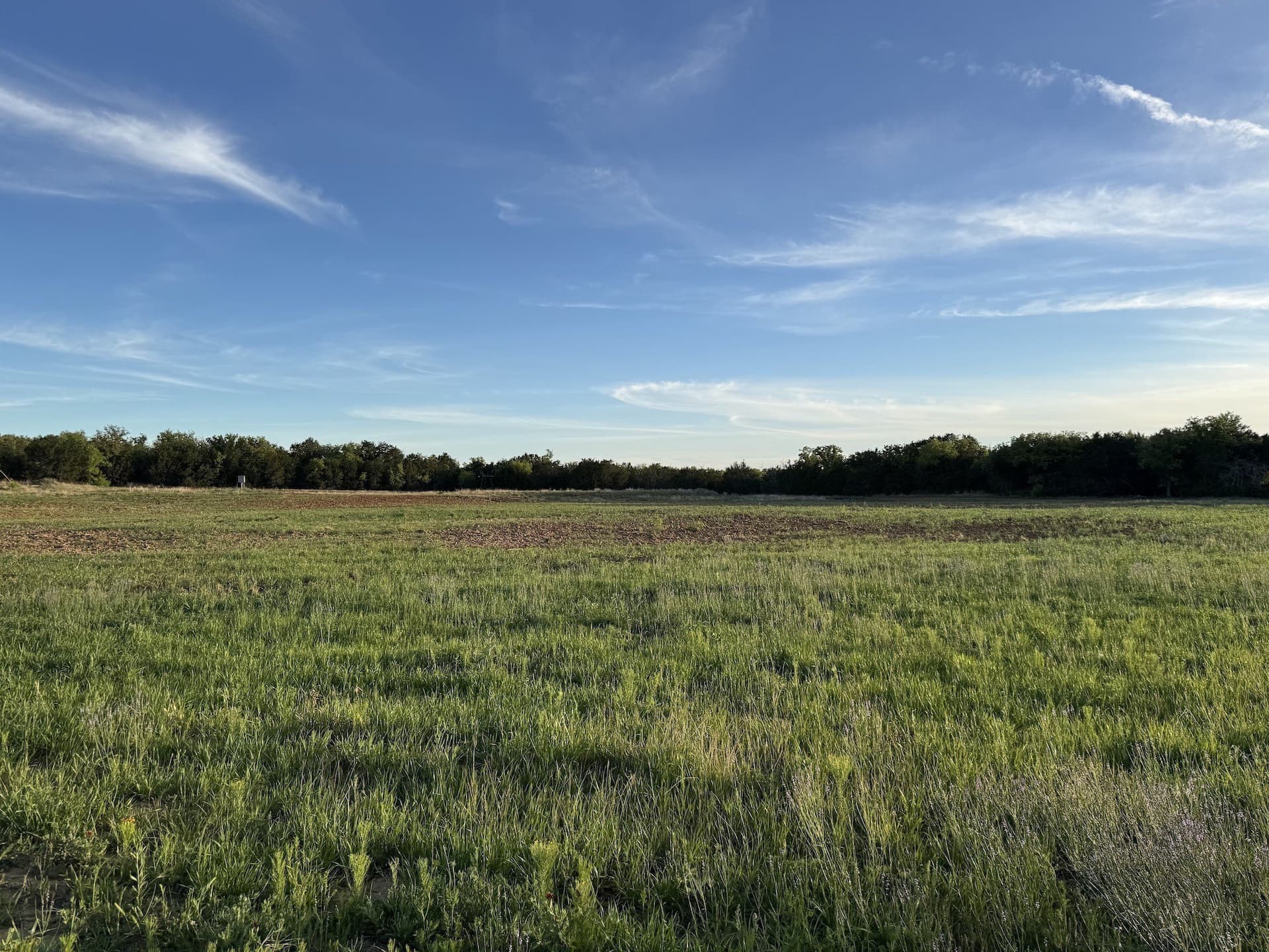 40.04 acres in Erath County - photo 19