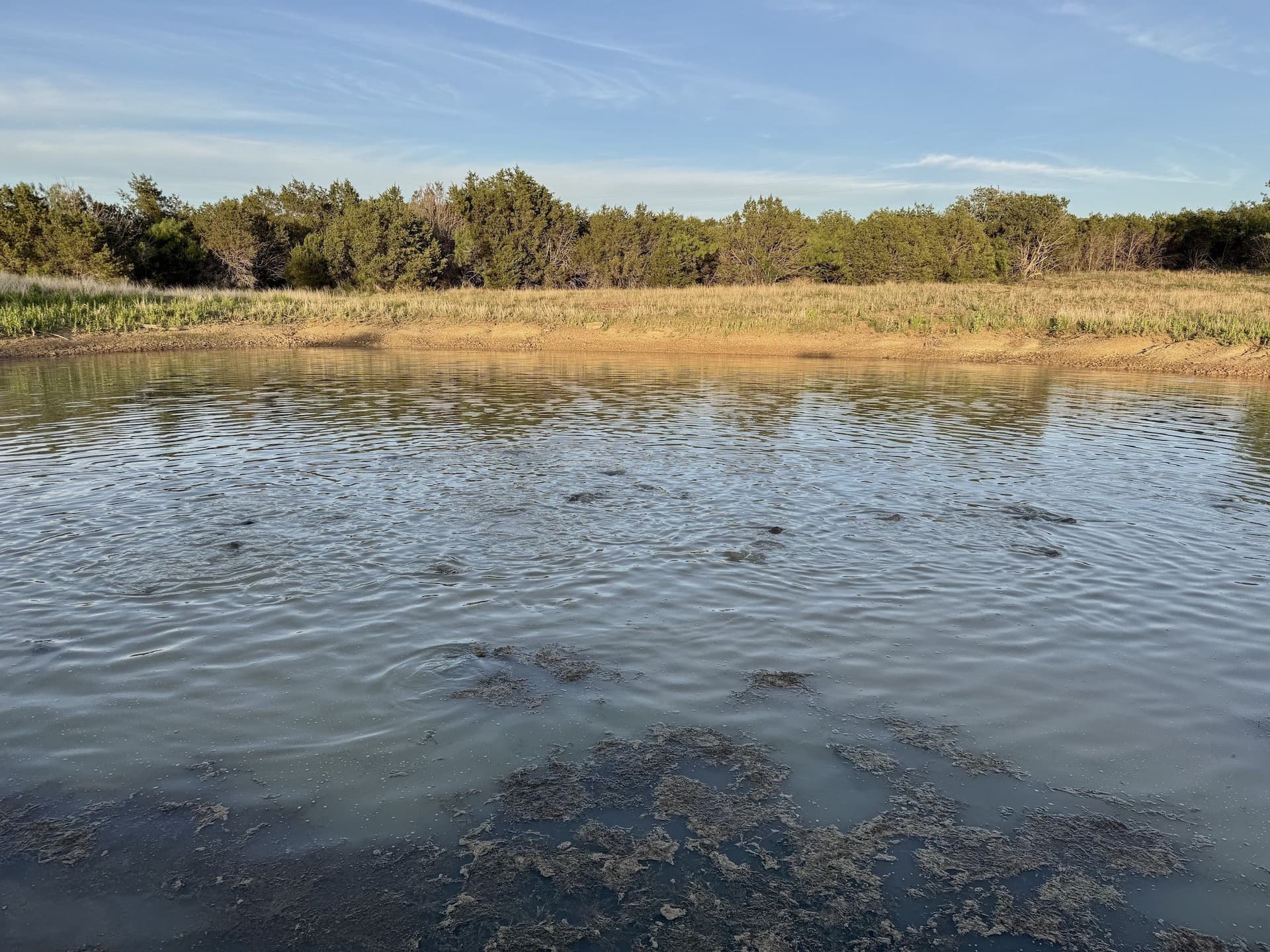 40.04 acres in Erath County - photo 23