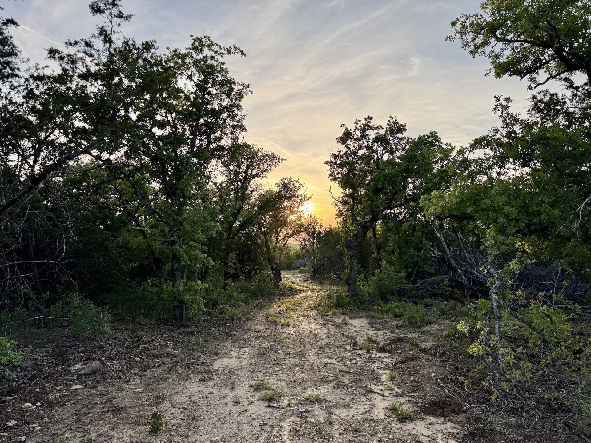 40.04 acres in Erath County