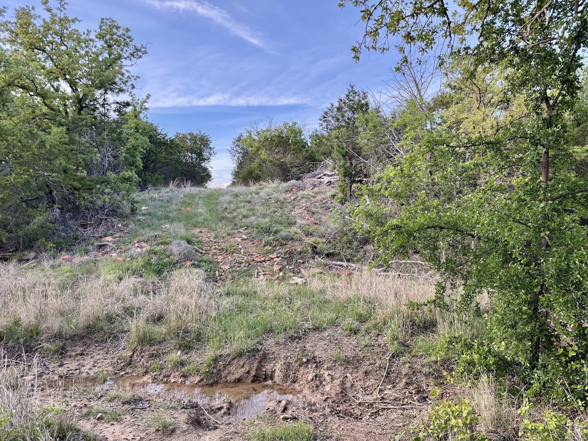 40.04 acres in Erath County - photo 31