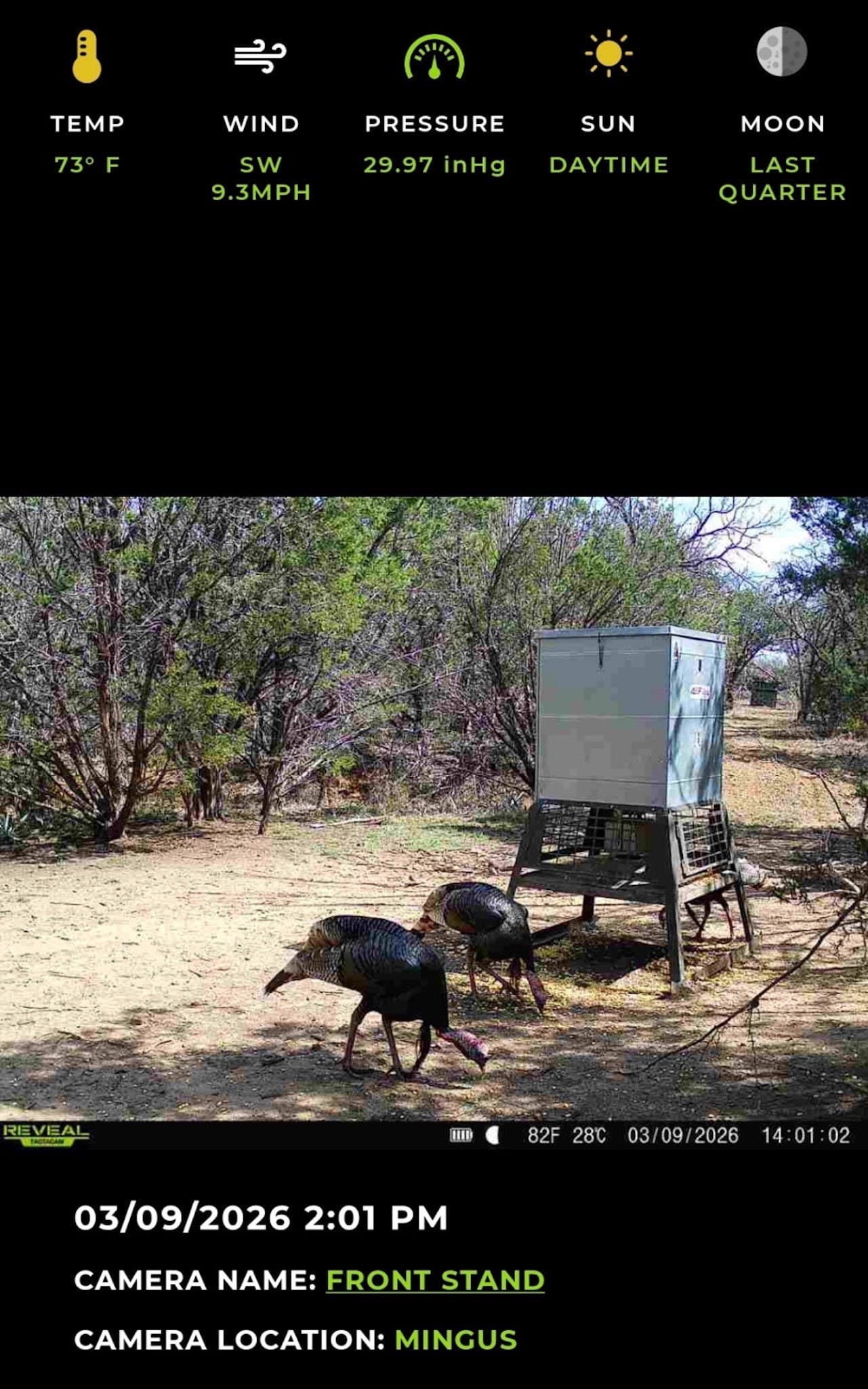 40.04 acres in Erath County - photo 36