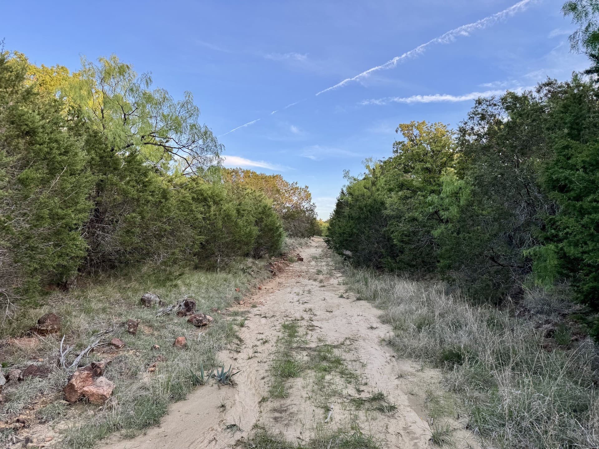 40.04 acres in Erath County - photo 25