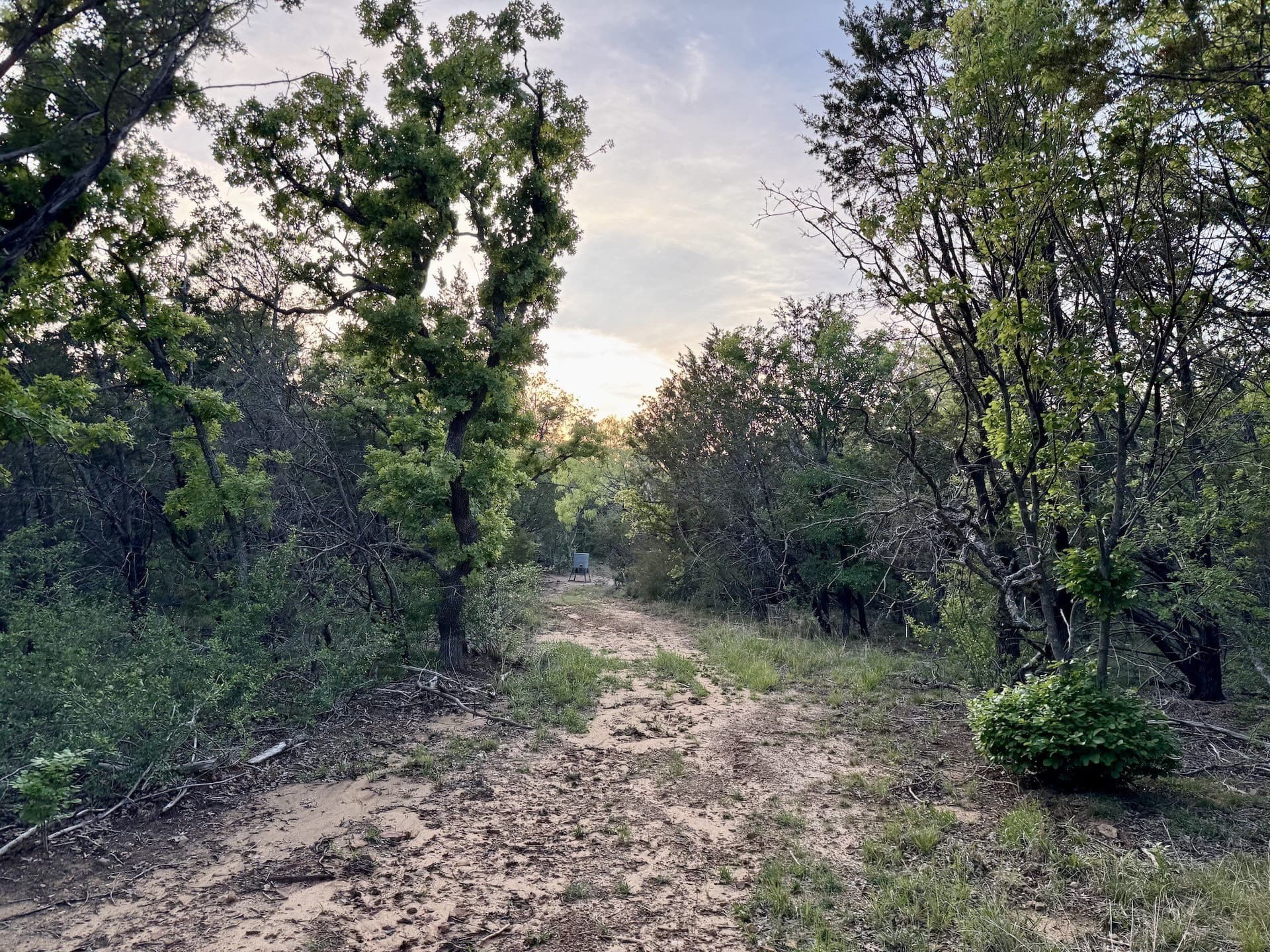 40.04 acres in Erath County - photo 29