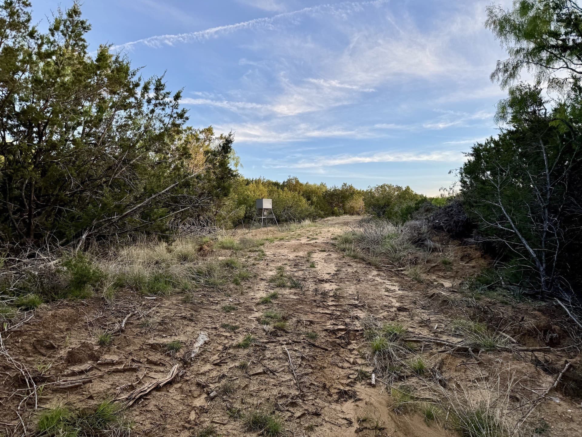 40.04 acres in Erath County - photo 26