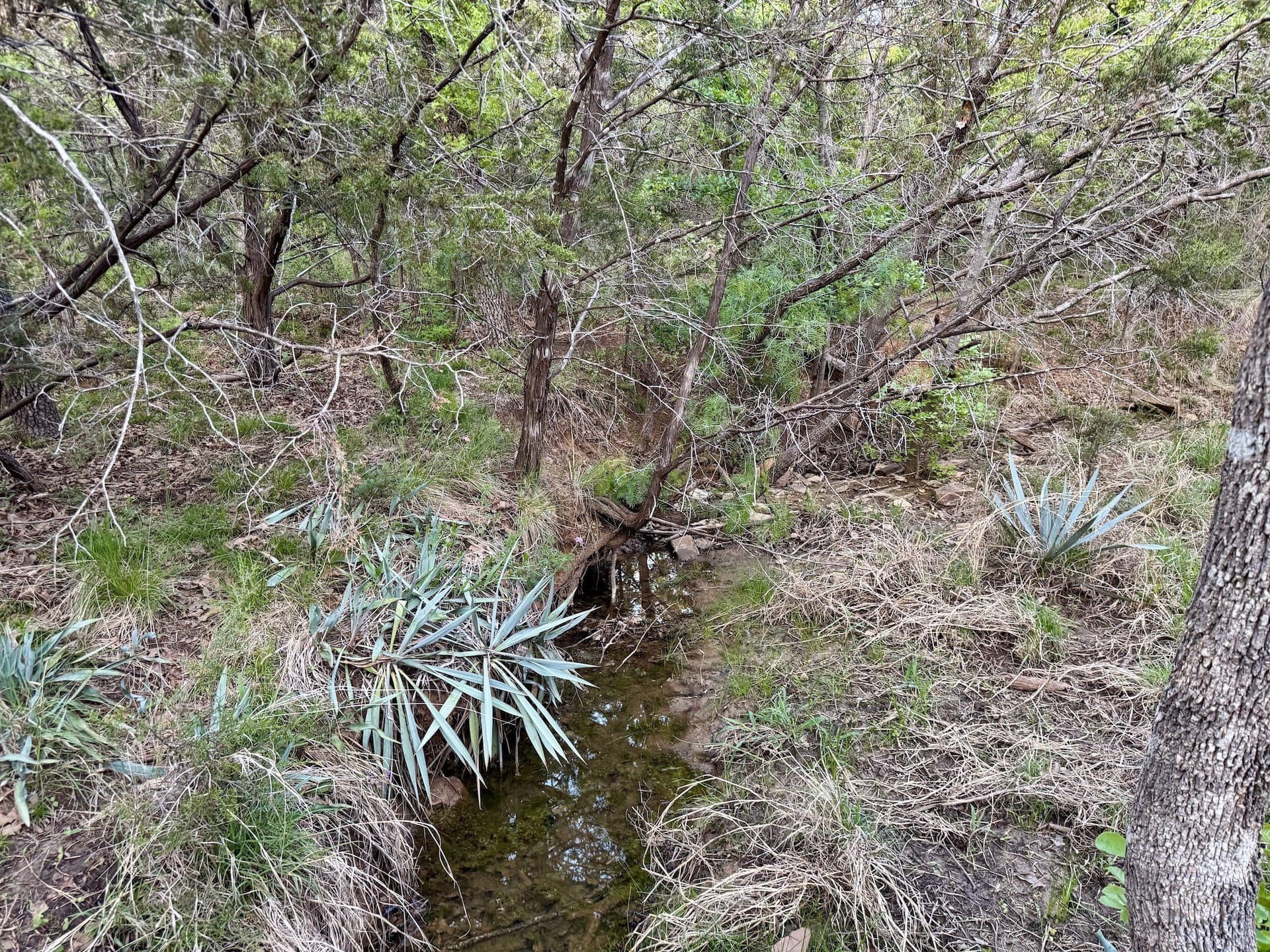 40.04 acres in Erath County - photo 30