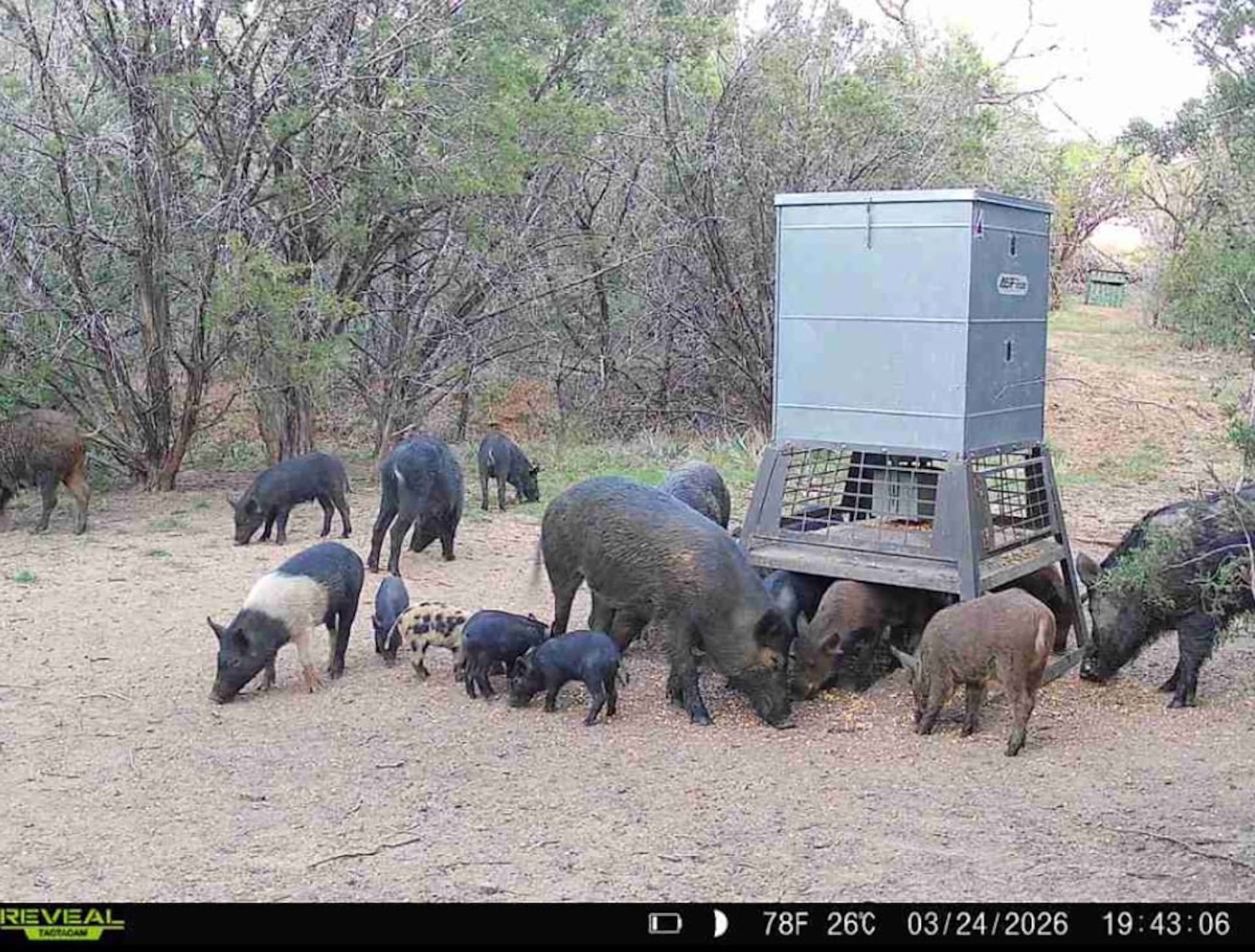 40.04 acres in Erath County - photo 38