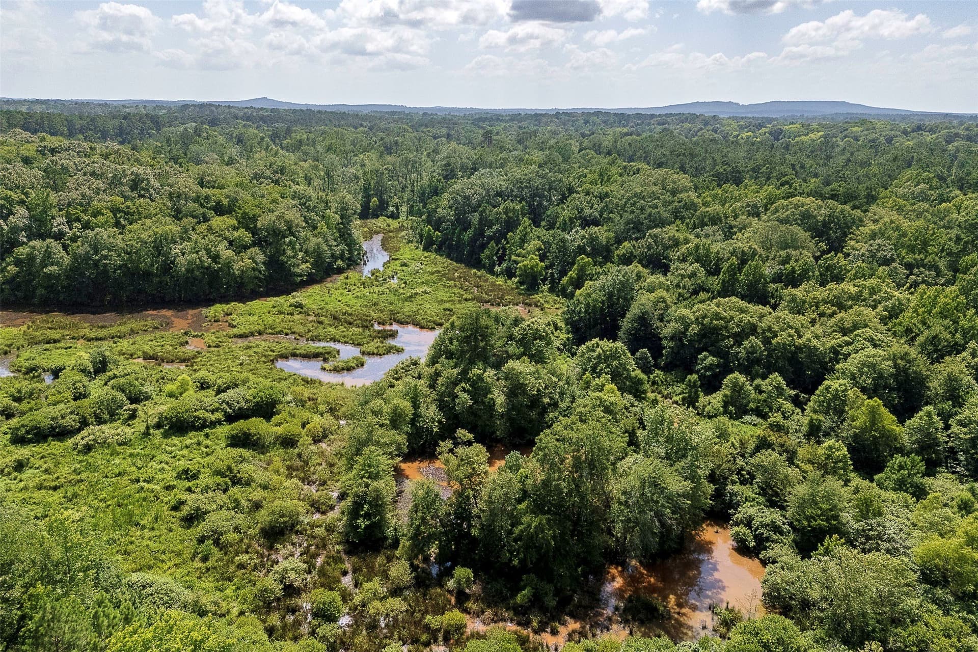 92.58 acres in Nacogdoches County - photo 2