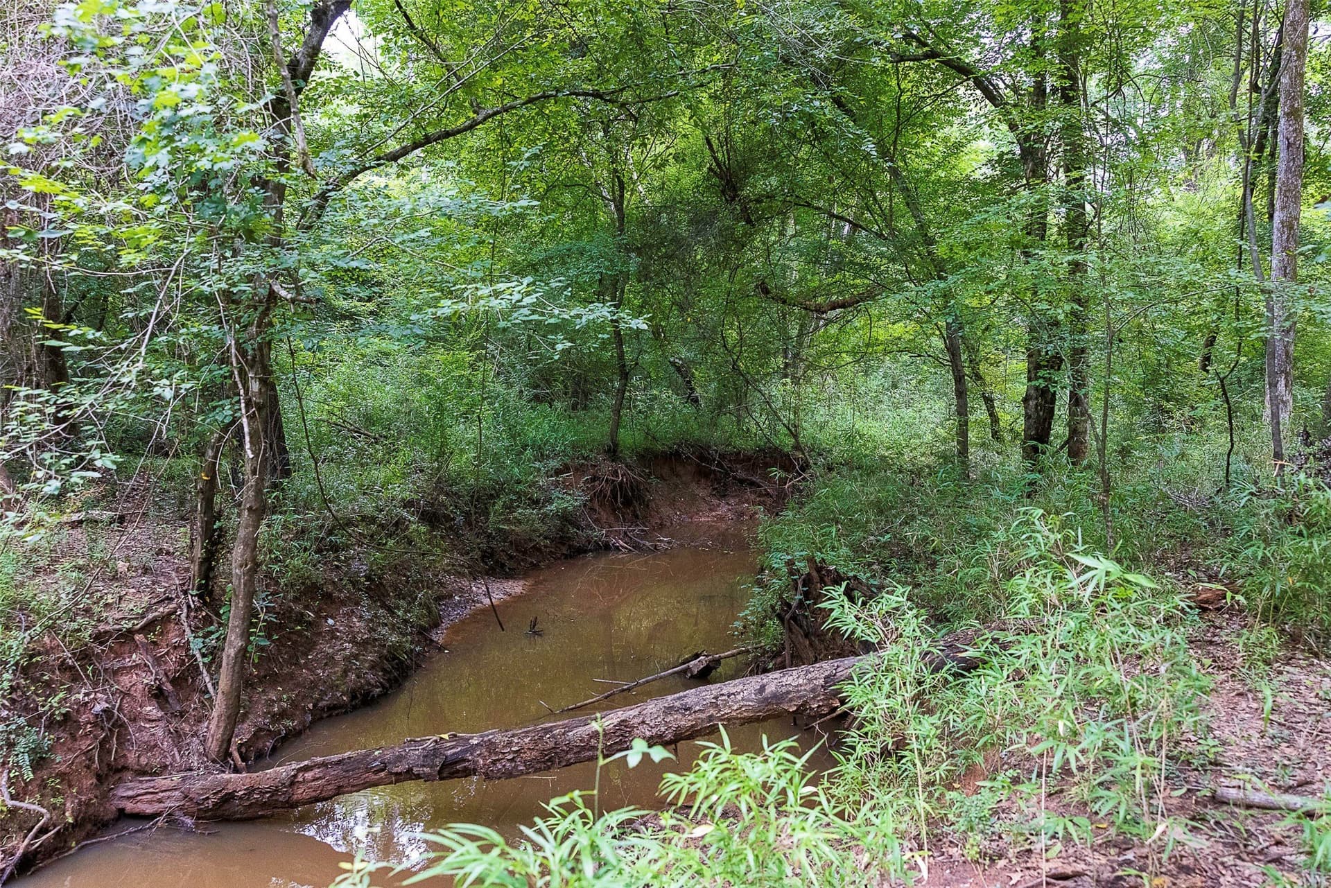 92.58 acres in Nacogdoches County - photo 6
